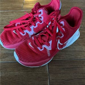 Nike lebron witness 6 basketball shoes